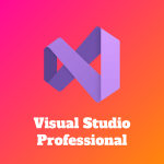 Visual Studio Professional Full